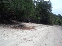 DSC01866