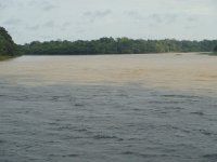 DSC08504