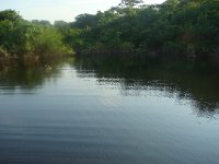 DSC08541