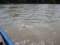 IMG 1544