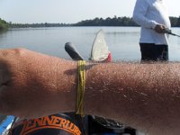 SDC10207