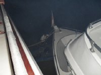 SDC10313