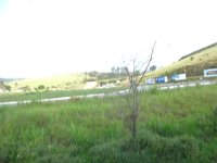 DSC00311
