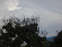 DSC00314