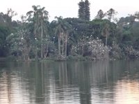 DSC00318