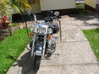 IMG 0004